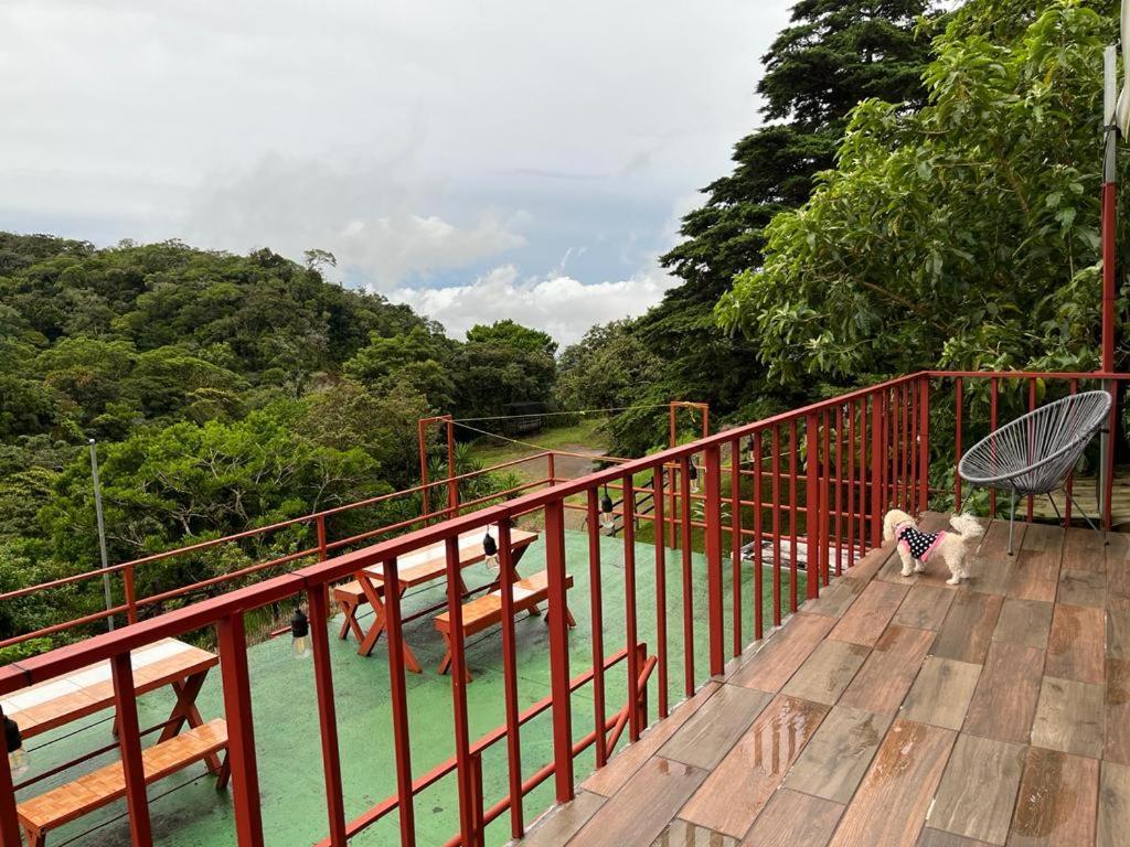 Monteverde Monkey Hostel Exterior photo