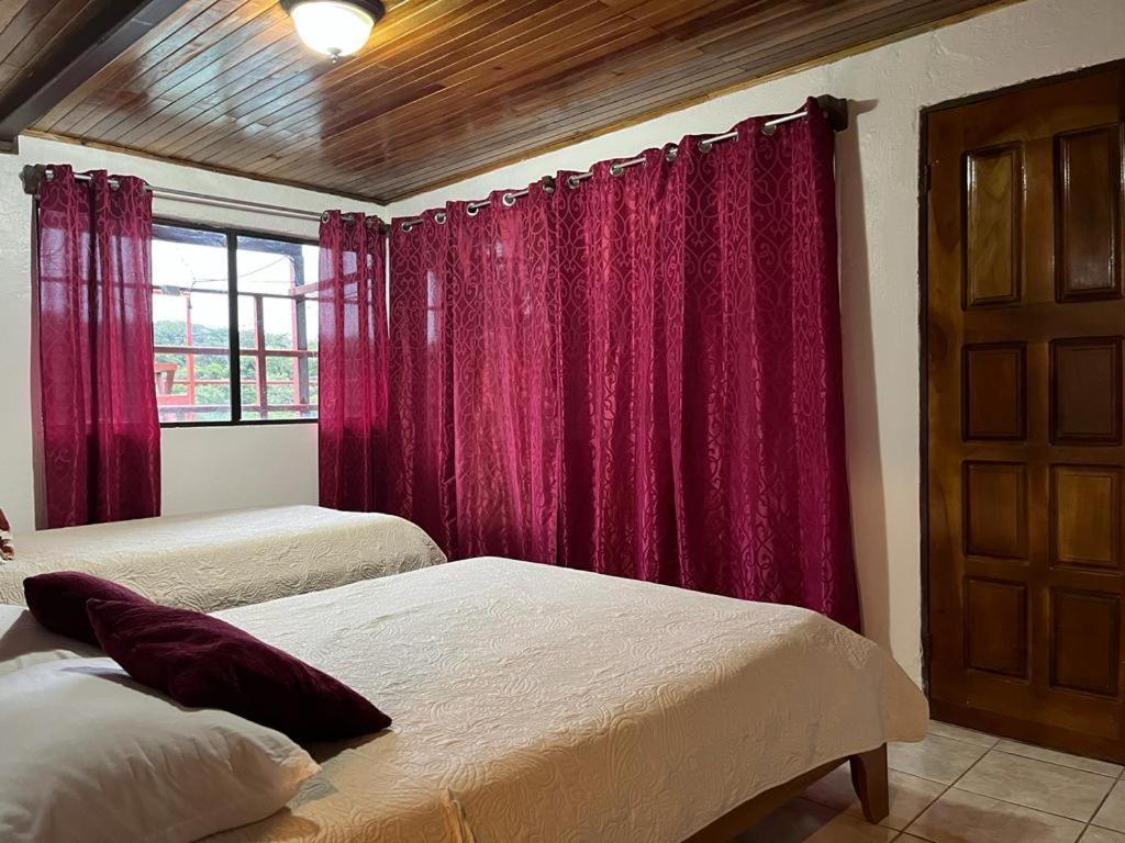 Monteverde Monkey Hostel Exterior photo