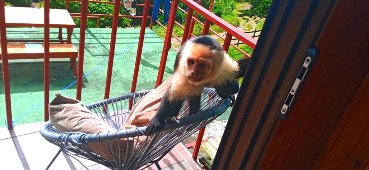 Monteverde Monkey Hostel Exterior photo